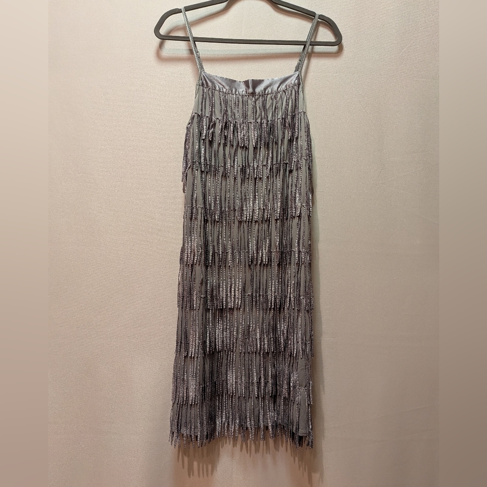 Silver Fringe Slip Dress